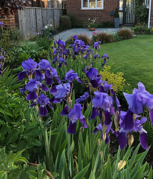 Garden in Bloom Entry