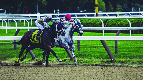 Two horses in a race, each ridden by a jockey.